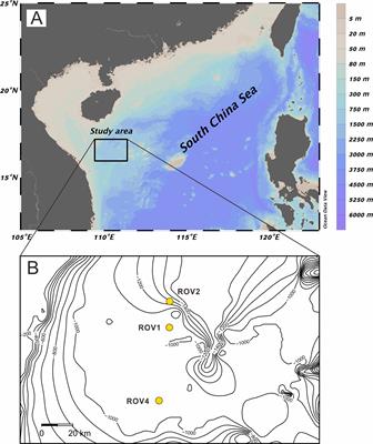 Magnesium Isotopes in Pore Water of Active Methane Seeps of the South China Sea